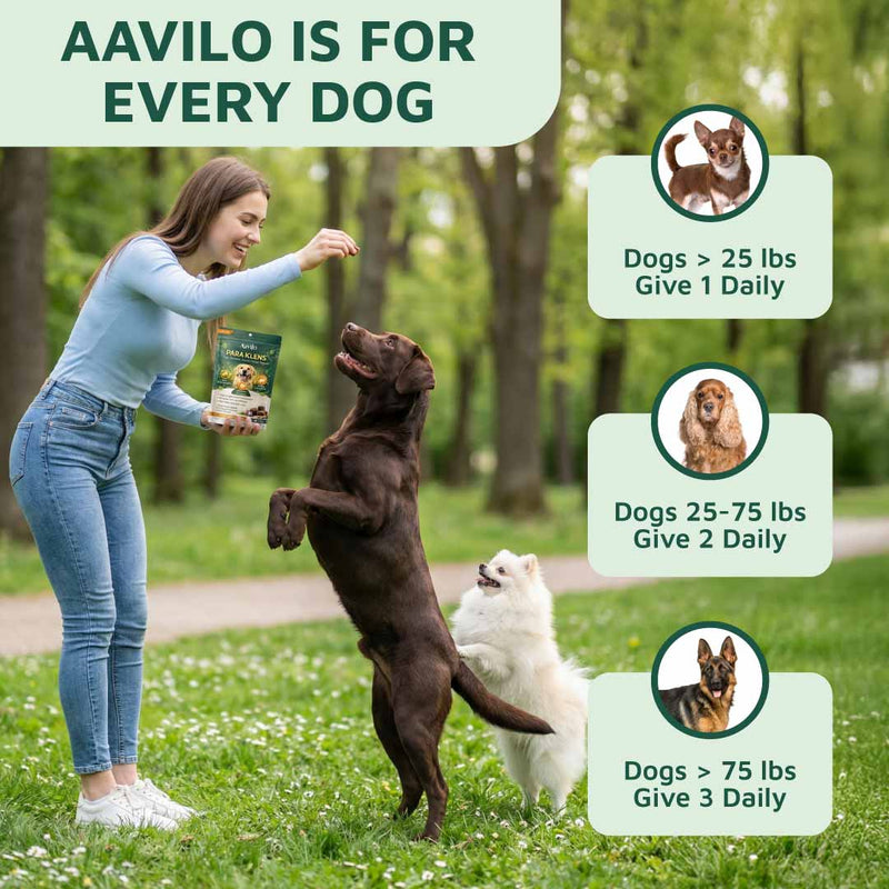 Gut & Immune Support for Dogs with Parasites (BUY 2 GET 1 FREE)